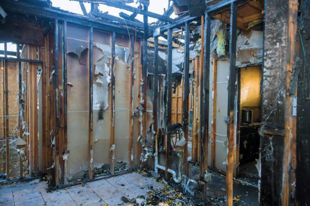 Professional Fire Damage Removal technician working in Skidmore, TX